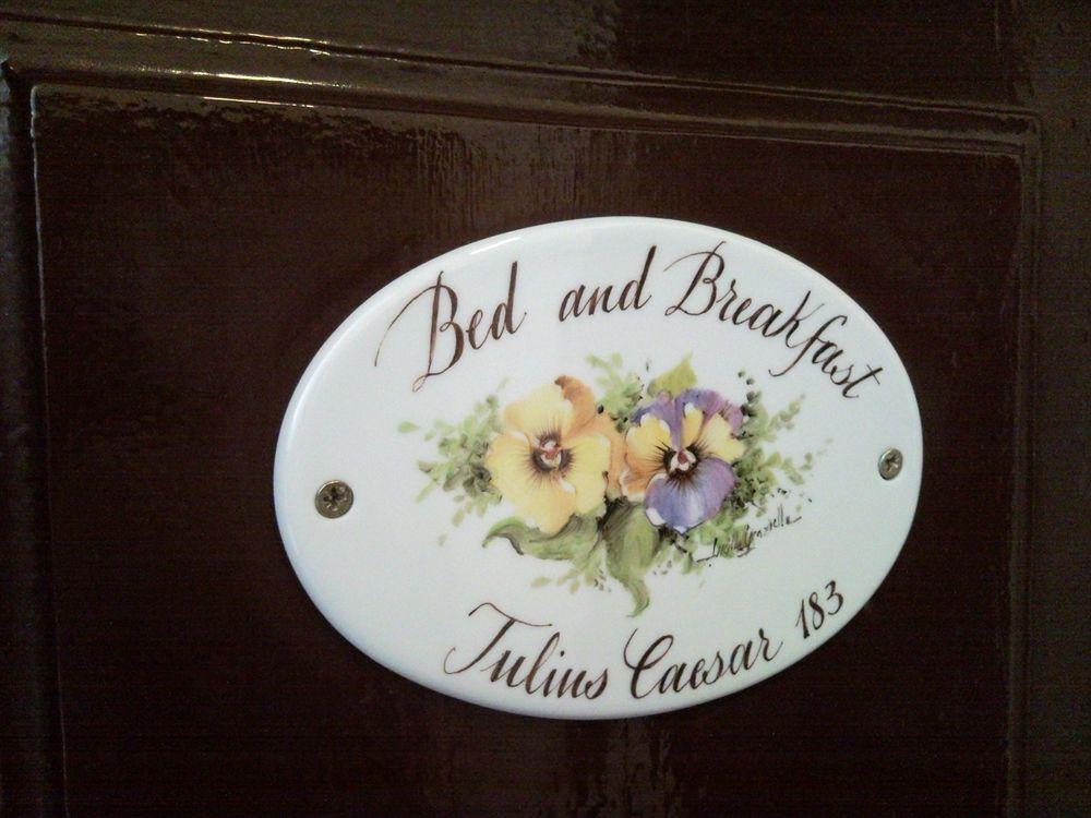 Blue Suite Vatican Guesthouse روما المظهر الخارجي الصورة